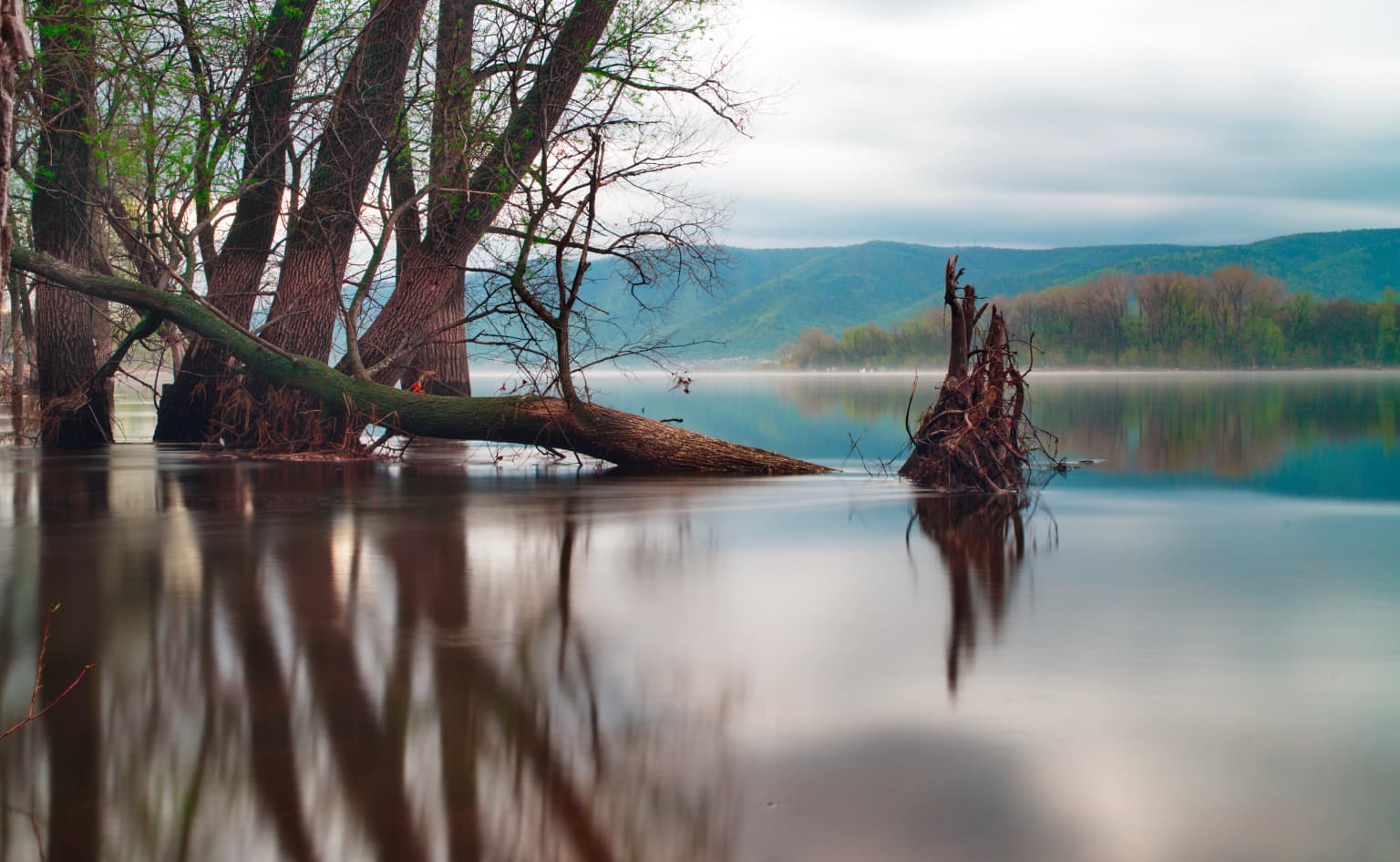 Submerged trees and fallen logs in calm river water with mountainous background