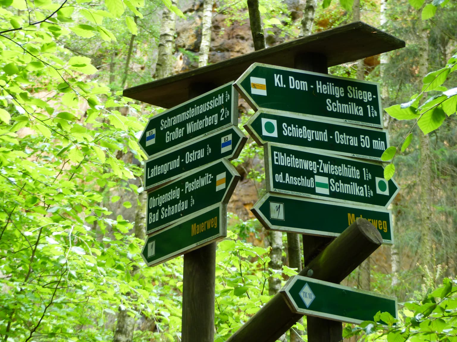 Green directional signs with white text on wooden posts in a forested area