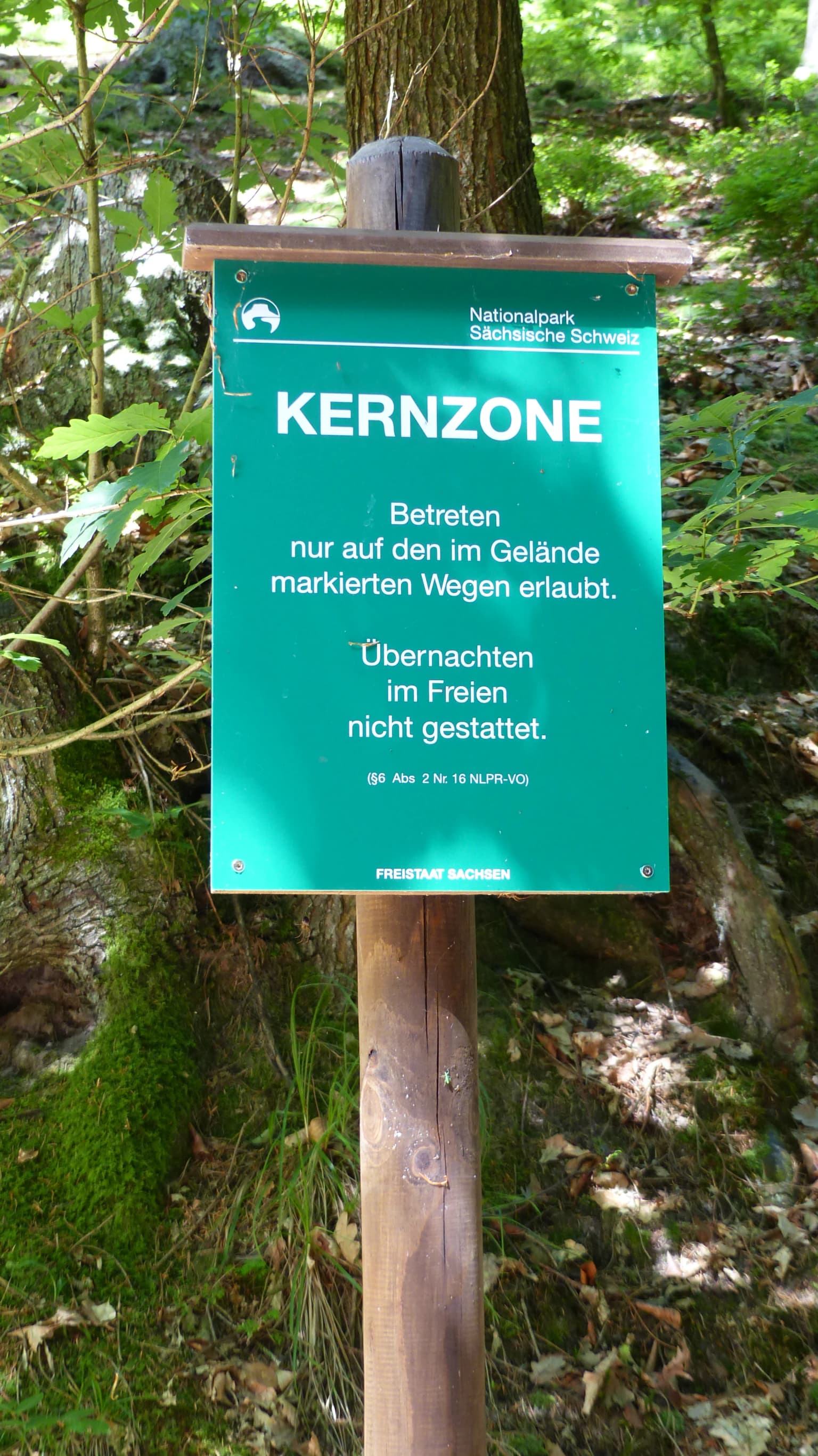 Green sign on wooden post reading 'KERNZONE' with German text 'Betreten nur auf den im Gelände markierten Wegen erlaubt. Übernachten im Freien nicht gestattet.' surrounded by forest vegetation and moss-covered rocks