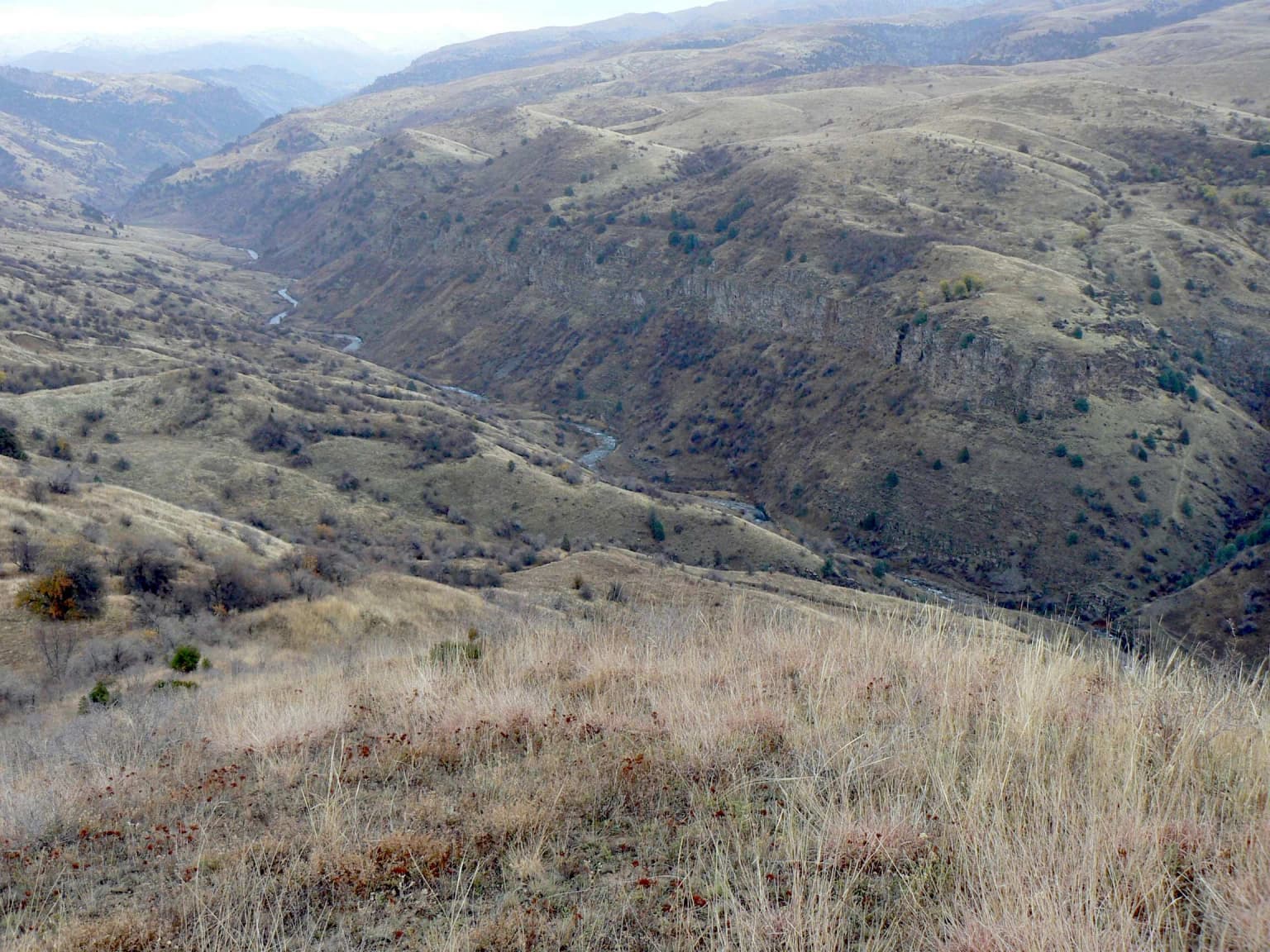 Wide landscape view of the Ugam River winding through a mountain valley with dry grassy slopes and distant hills