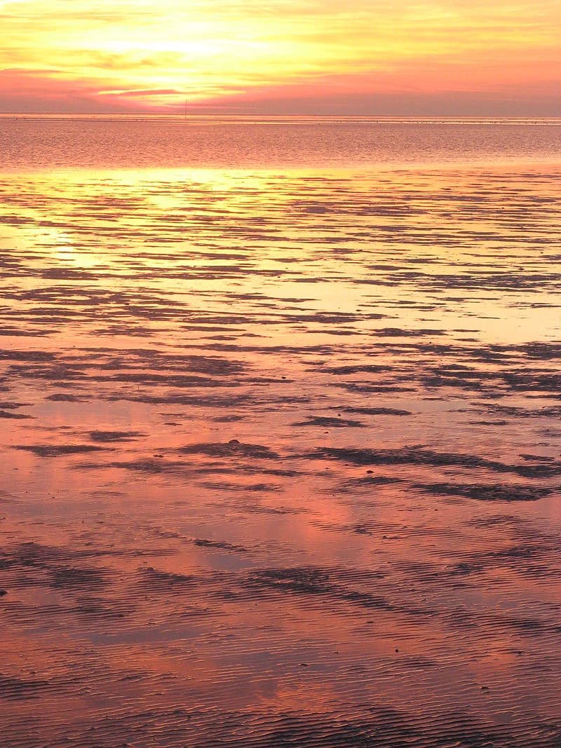 Sunset over calm tidal waters with orange and yellow sky reflections