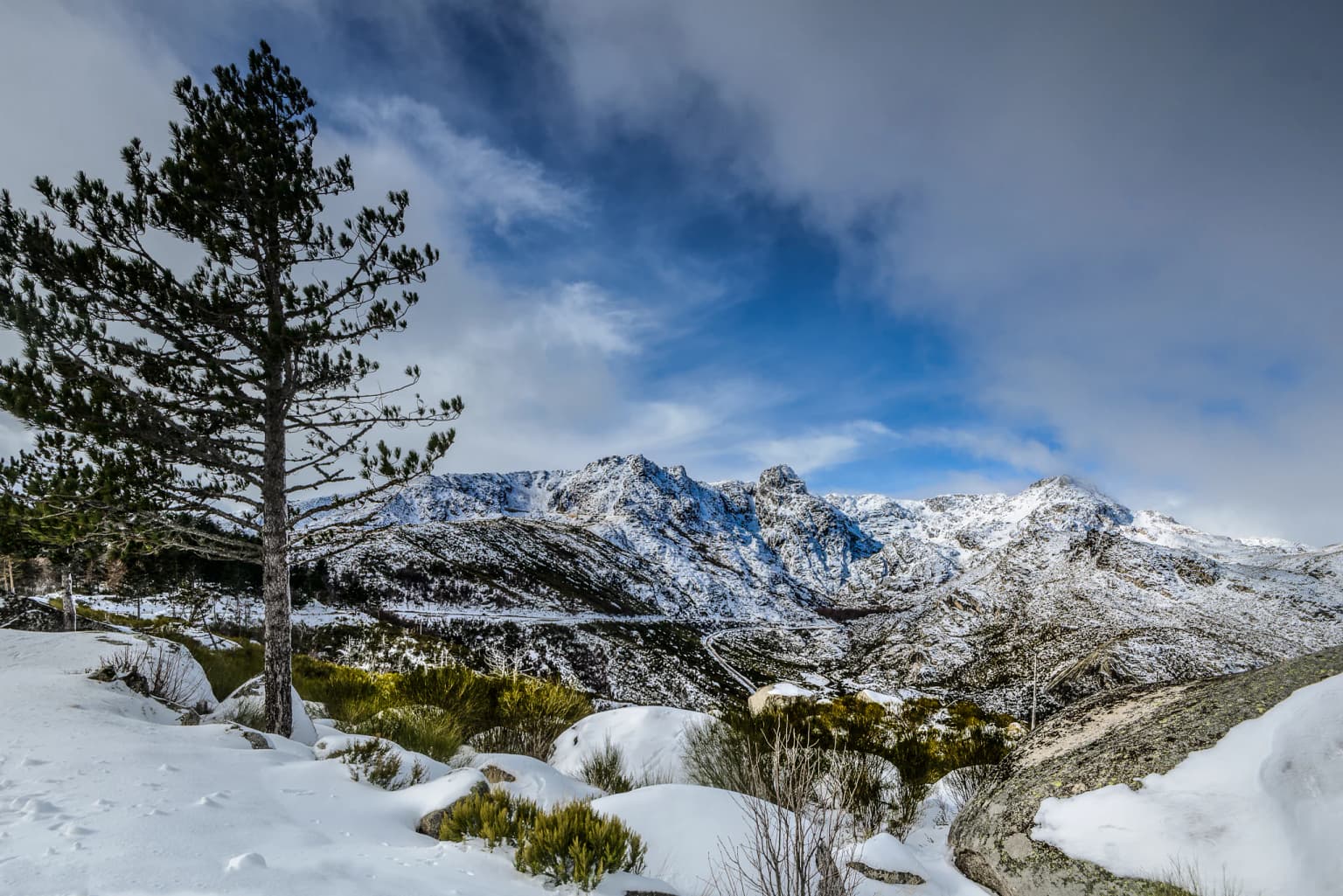 Snow-covered mountain landscape with a single pine tree in the foreground, rocky peaks in the background, and a partly cloudy sky
