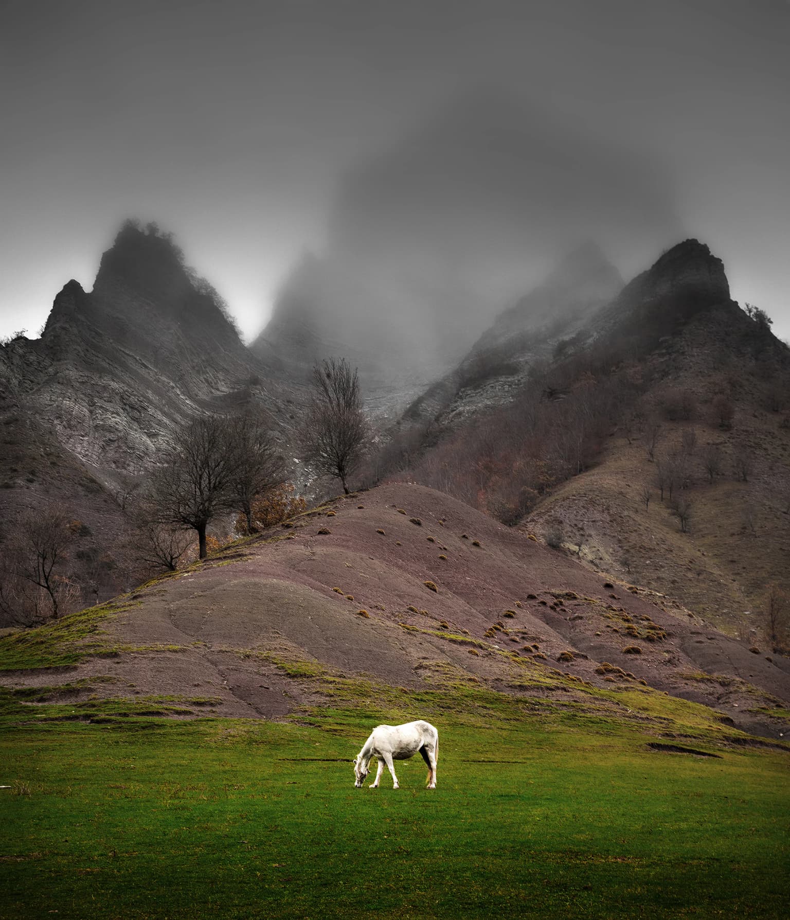 White horse grazing in green field with rocky mountains and fog in background