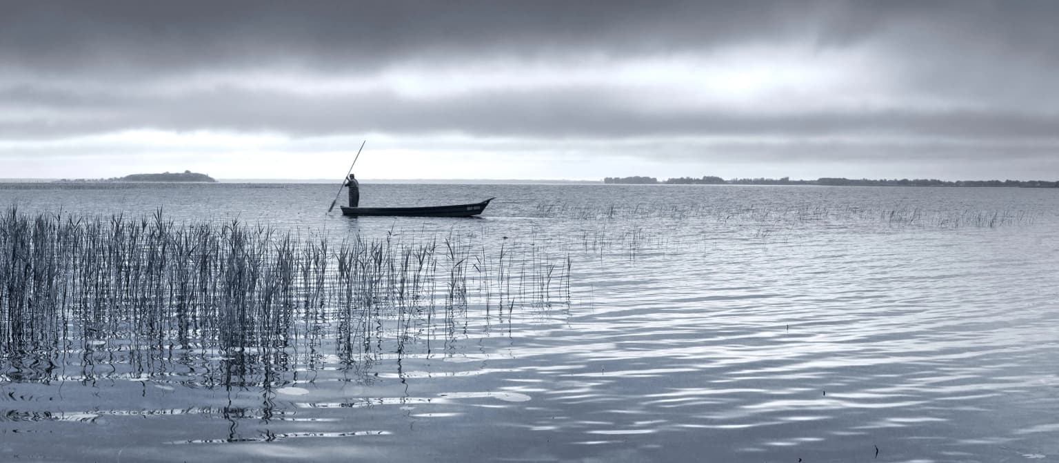 Single person rowing a small boat on a calm lake with tall reeds in the foreground under an overcast sky