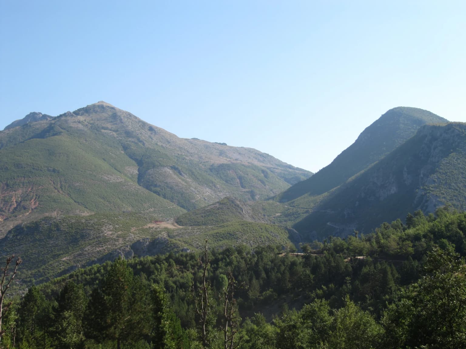 Mountainous landscape with green forests, hills, and clear blue sky