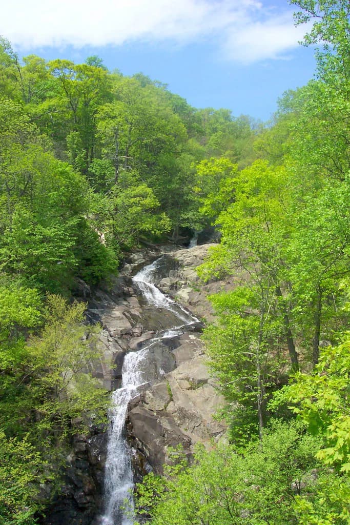Cascada cayendo sobre terreno rocoso rodeada de un denso bosque verde bajo un cielo azul