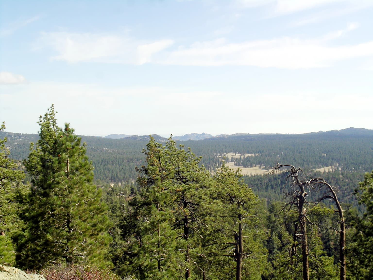 Panoramic landscape of mountainous terrain with dense pine forests under a partly cloudy sky