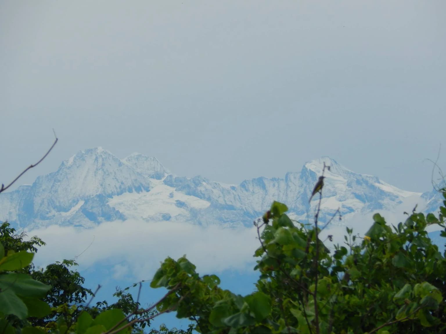 Snow-covered mountain peaks with green foliage in the foreground and clouds in the sky