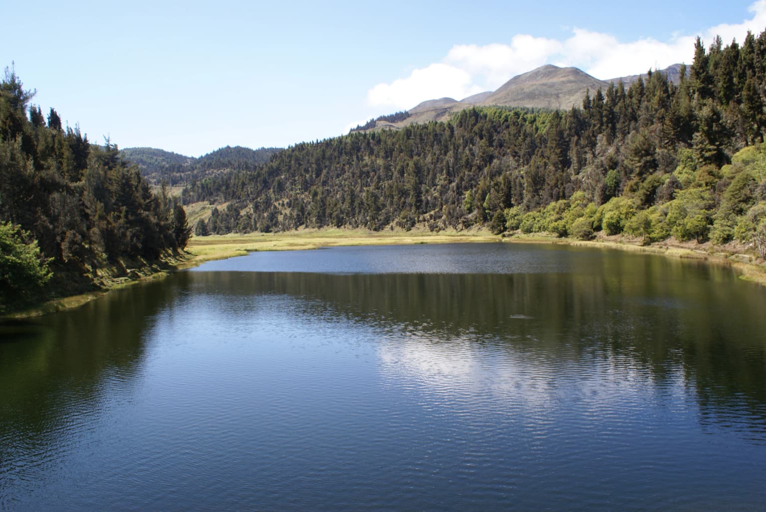 A calm lake surrounded by dense forest with mountain peaks visible under a partly cloudy sky