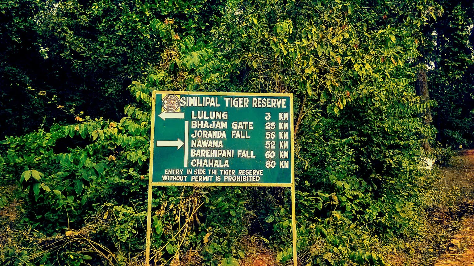 Green directional signboard for Simlipal Tiger Reserve with distances to park locations, surrounded by dense forest vegetation