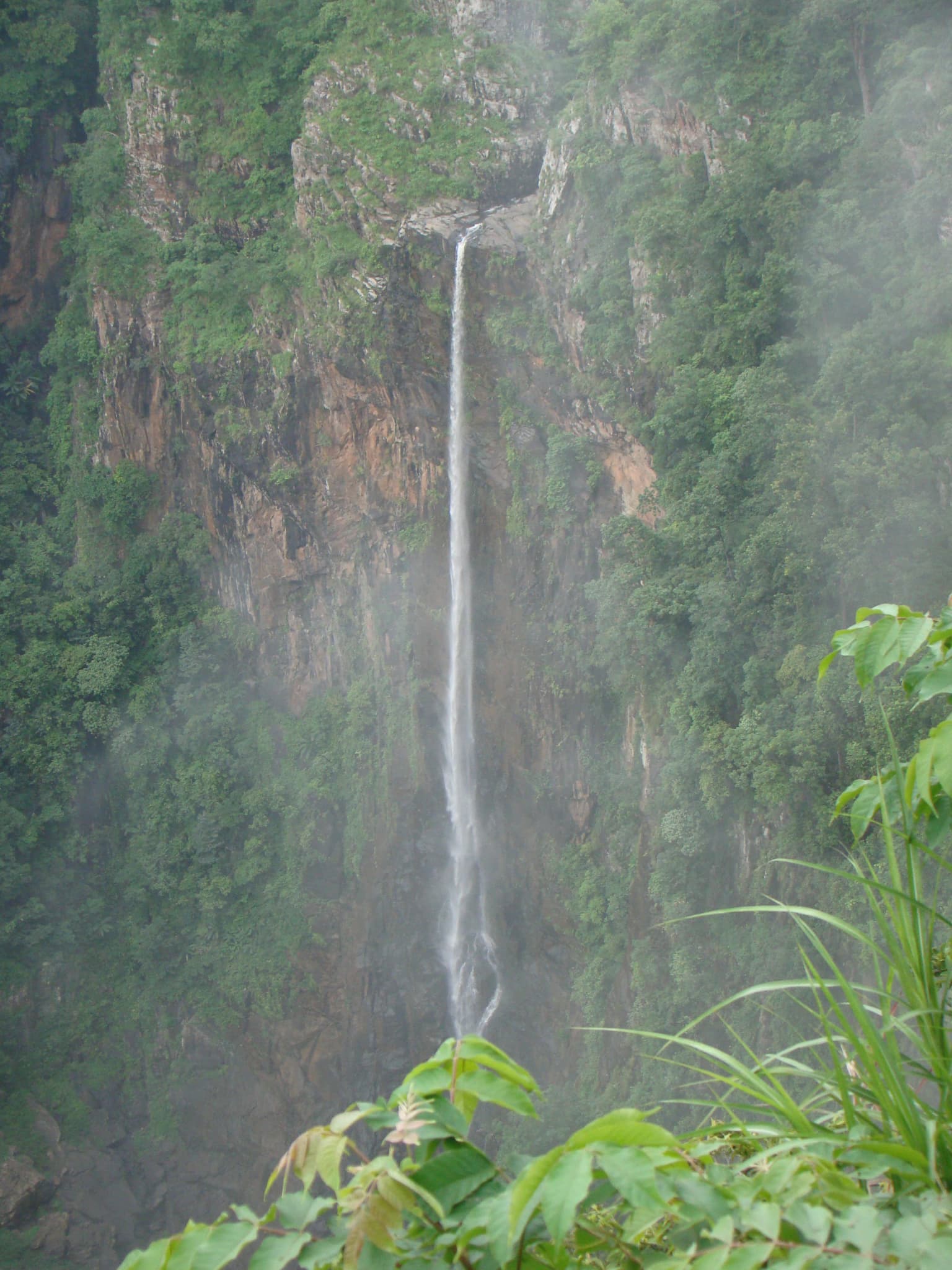 A tall waterfall cascading down a rocky cliff face surrounded by dense green vegetation
