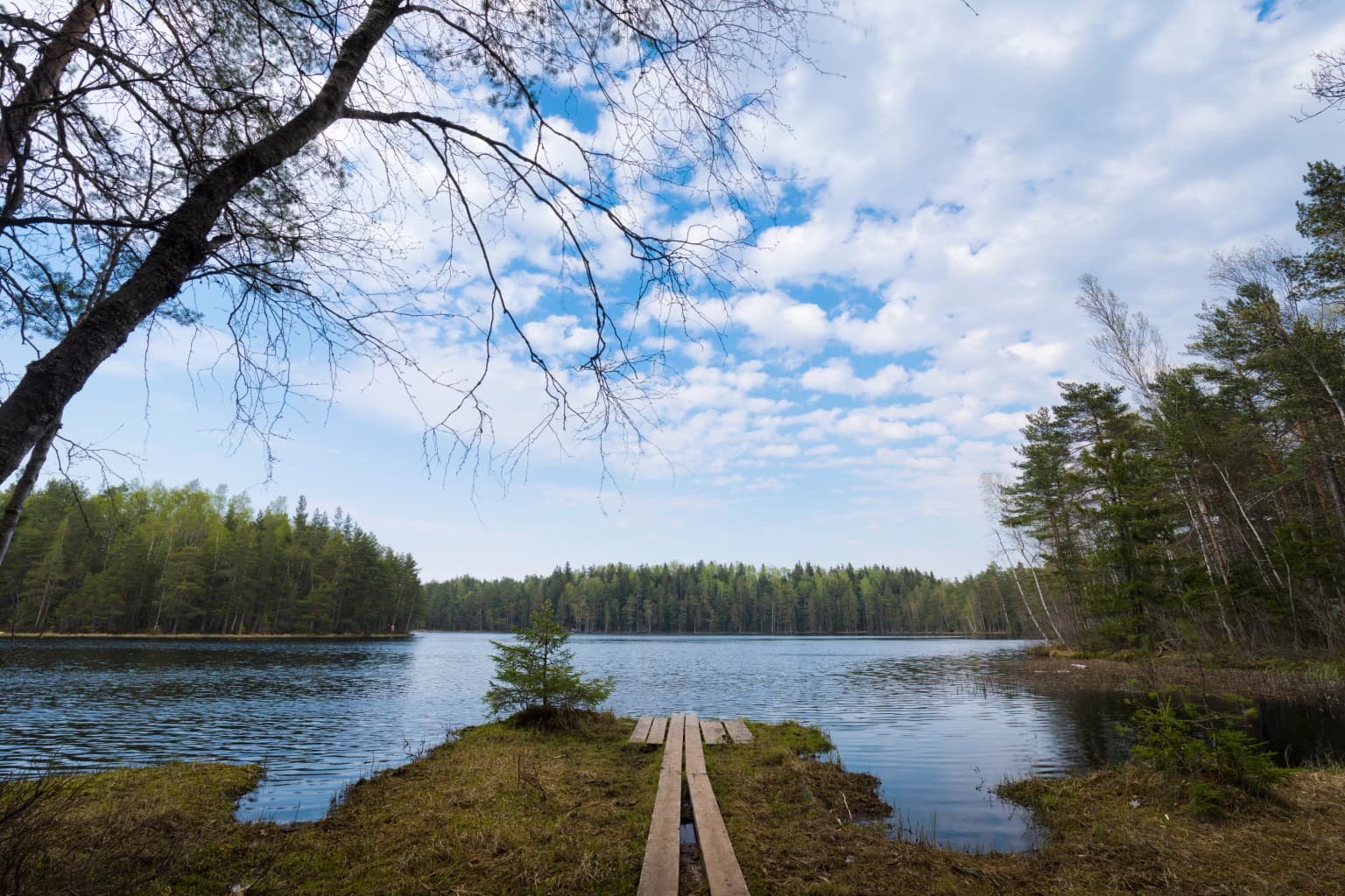 Wooden duckboards extending toward a calm lake surrounded by forest with a blue sky