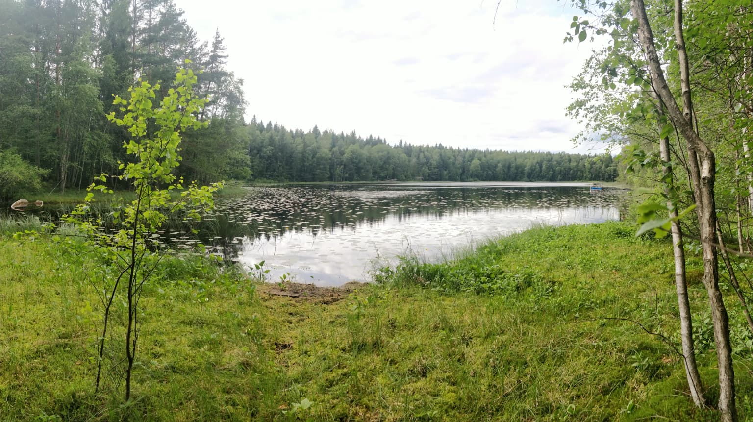 Lake Bisajärvi surrounded by green vegetation and forest in Sipoonkorpi National Park