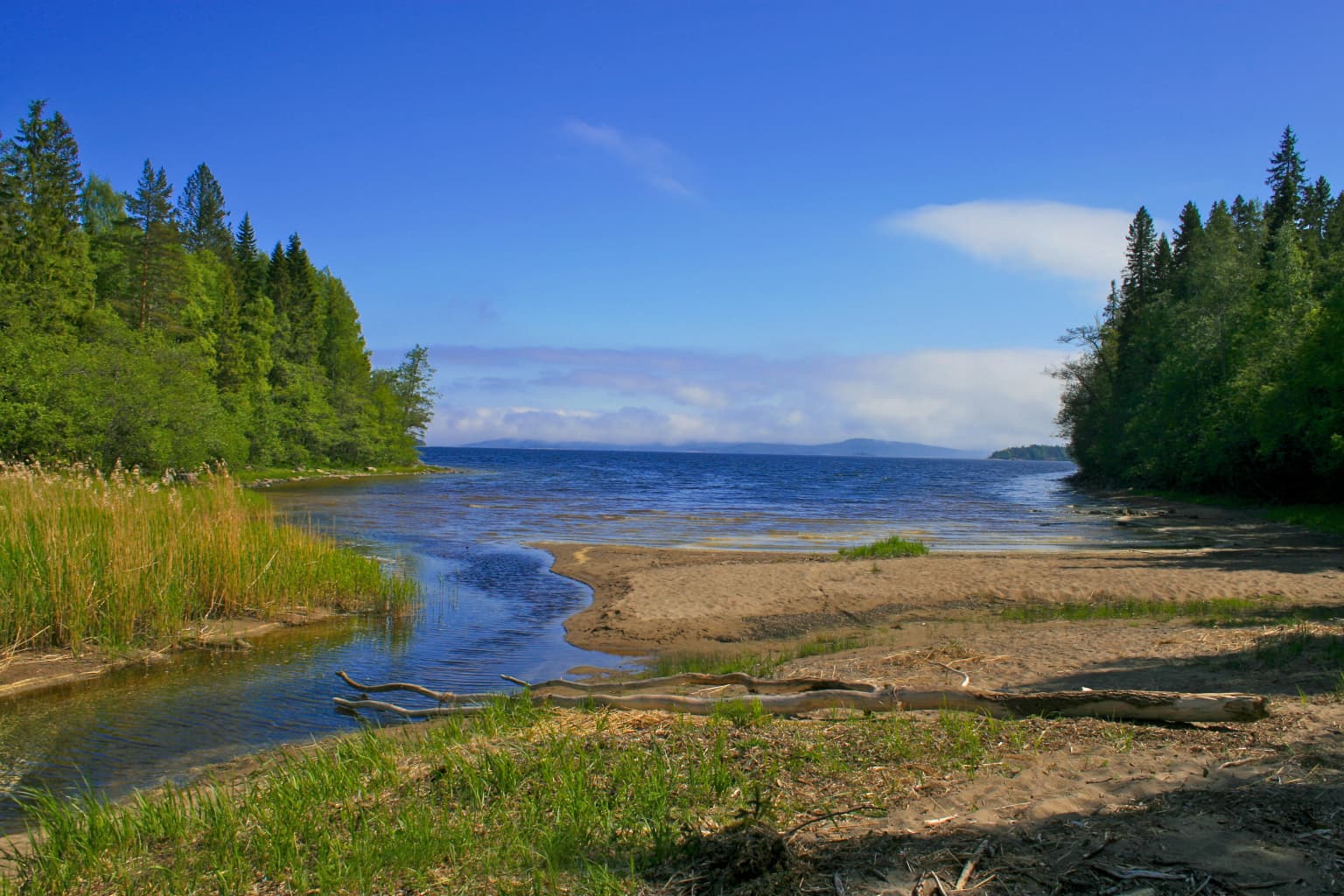 A coastal bay with shallow water channels, sandy shore, and dense forest under a clear blue sky