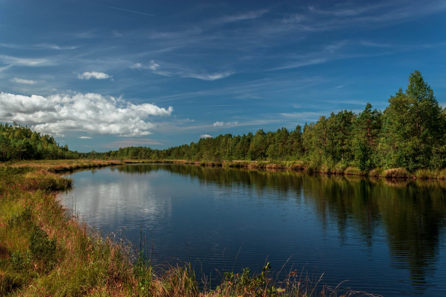 Calm river reflecting sky and trees, with grassy banks and forested shoreline under a partly cloudy blue sky