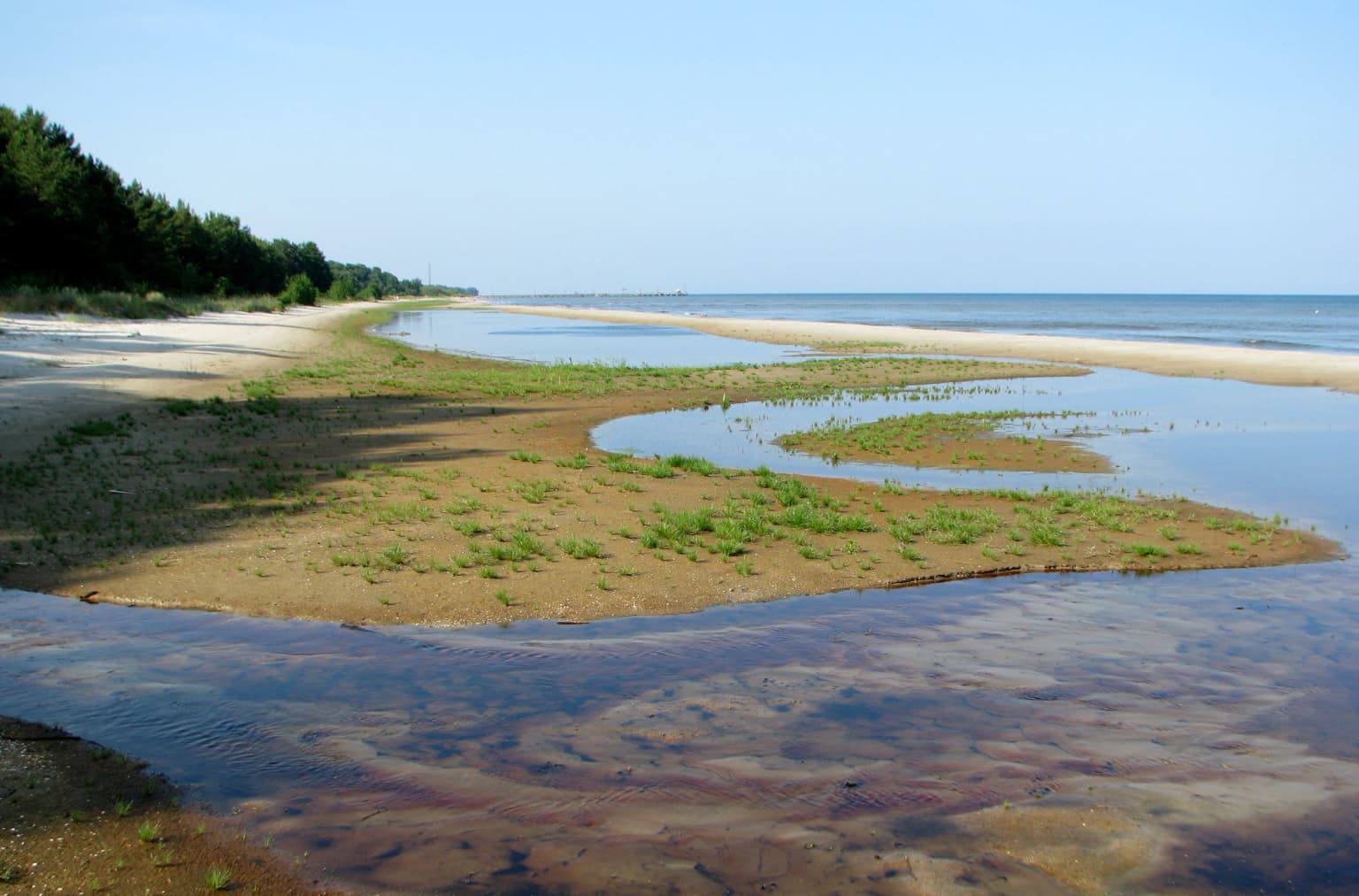 A coastal landscape featuring tidal flats, shallow water pools, sandy beach, and forested coastline within Slītere National Park under clear skies