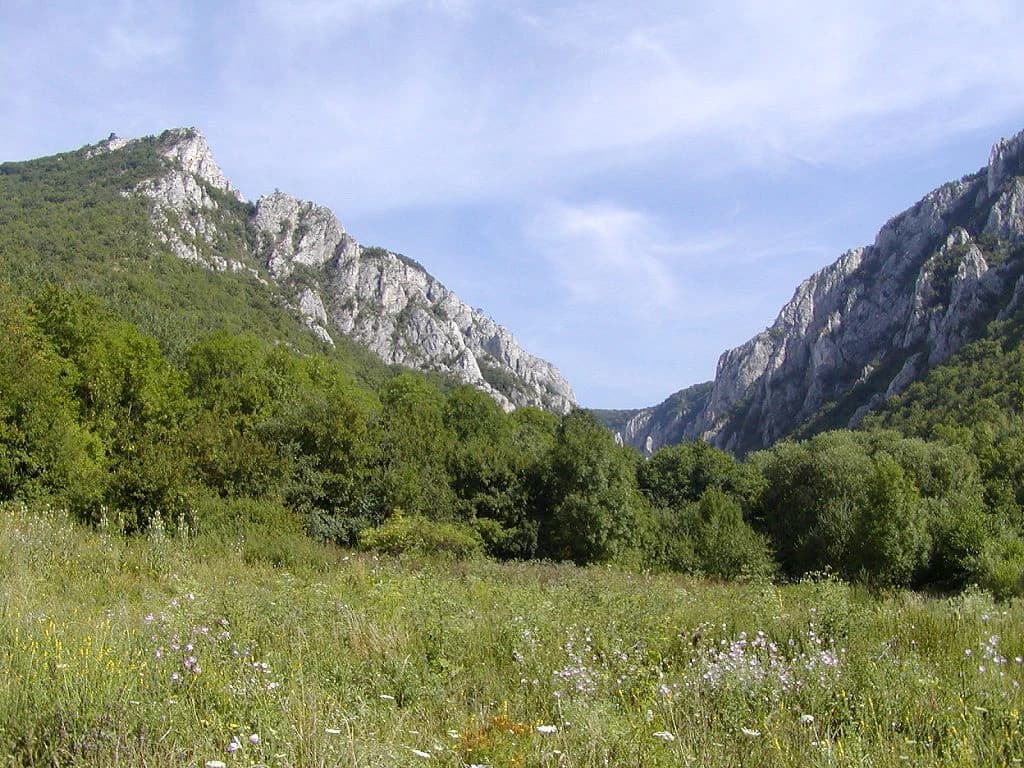 Rocky mountain cliffs, green meadows, and dense forests in Zadiel Canyon.
