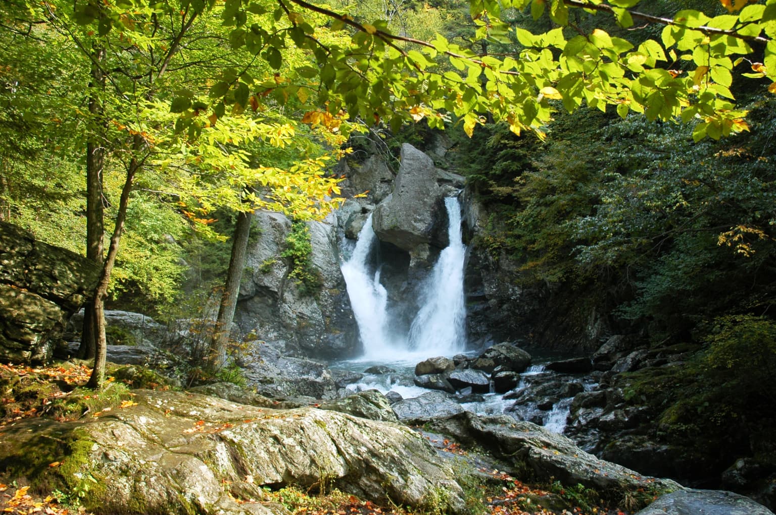 Waterfall cascading over rocks surrounded by dense green forest with autumn leaves
