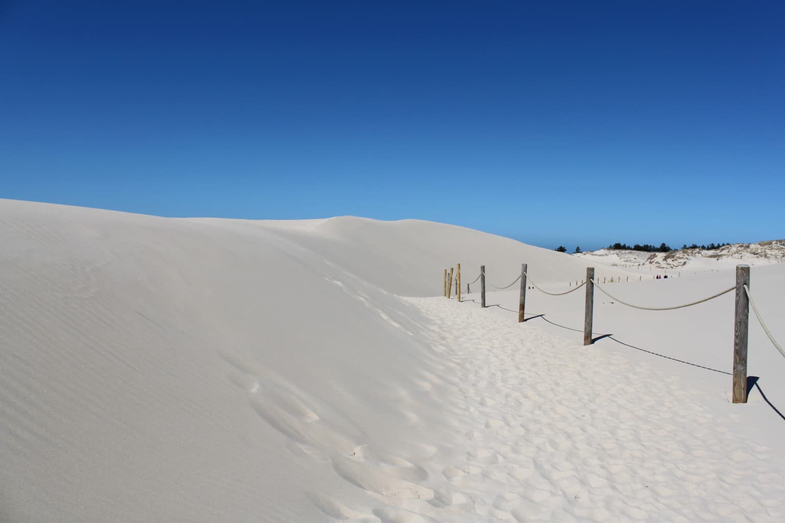 White sand dunes under a clear blue sky with a sandy path marked by wooden posts and ropes