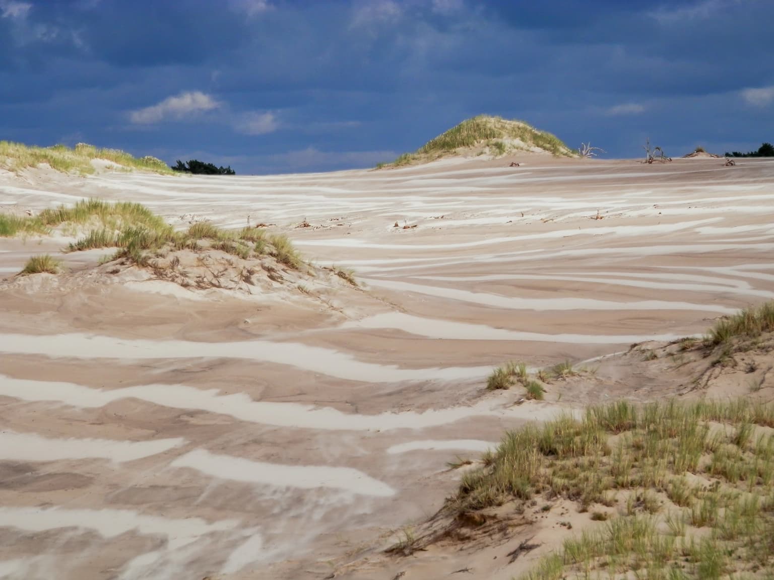 A landscape of moving sand dunes with distinct wave patterns and patches of grass under a blue sky with clouds