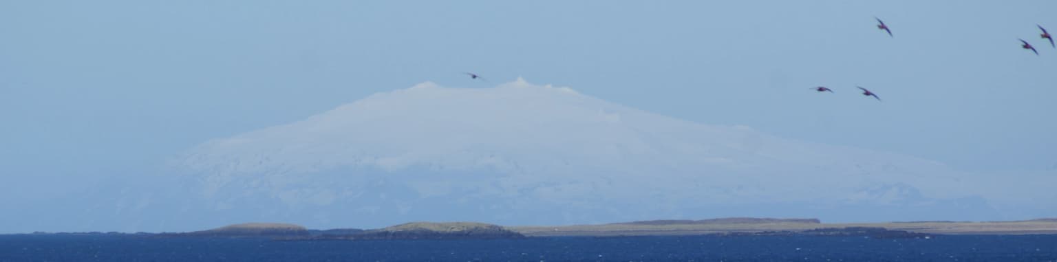 Snow-capped Snæfellsjökull Glacier mountain with blue water body and three birds flying in the sky