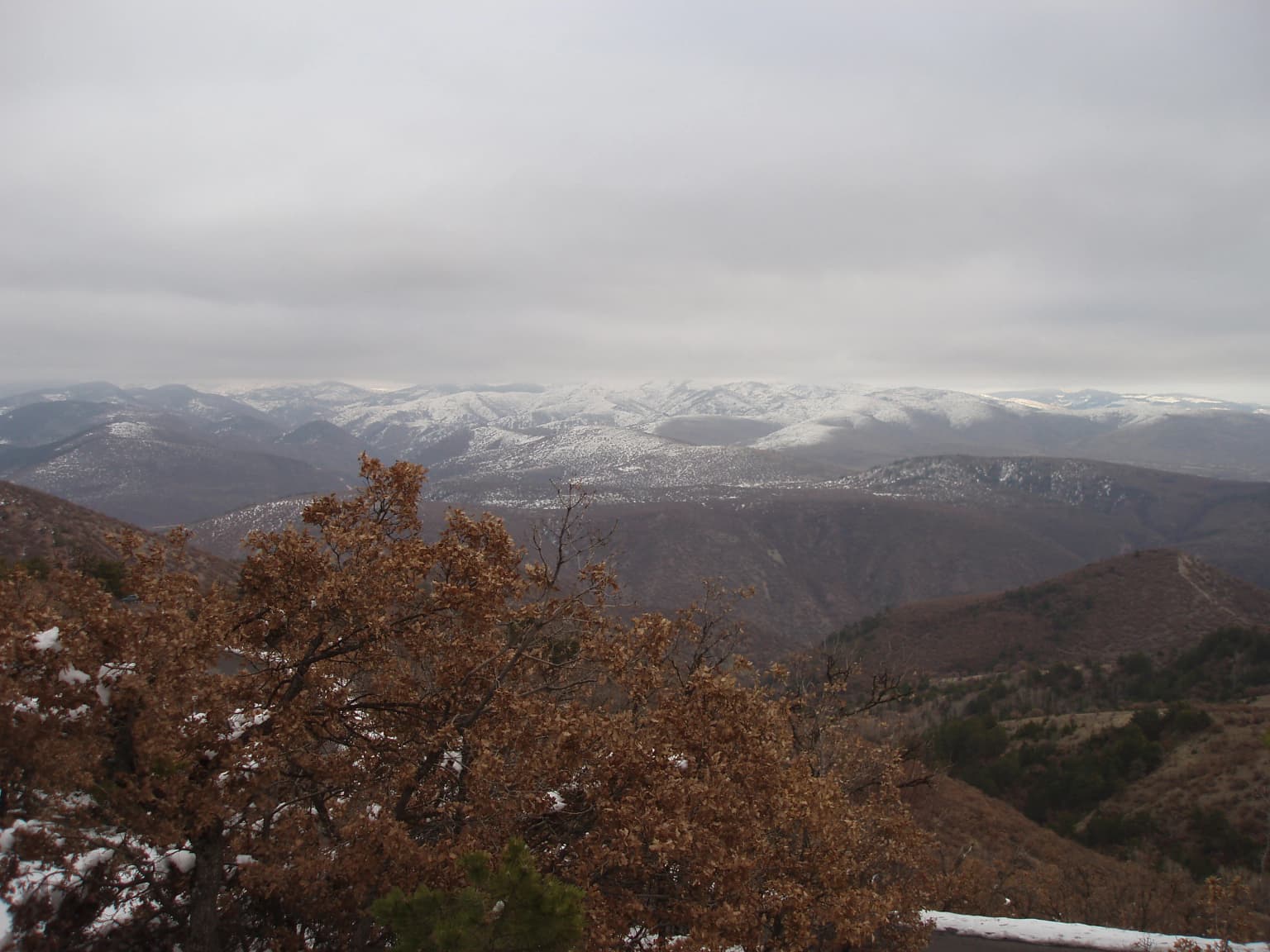 A wide landscape view showing snow-covered mountains, brown-leafed trees in the foreground, and rolling hills extending into the distance under a cloudy sky