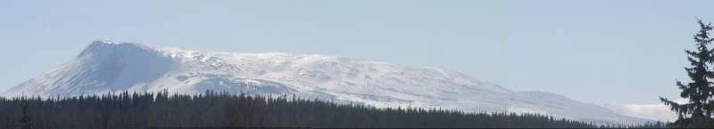 Snow-capped mountain with forested foreground under clear sky