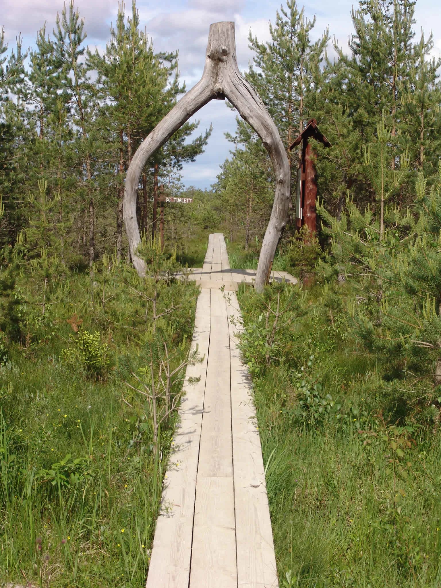 Wooden boardwalk leading through green forest with large curved tree trunk arch and small building on right