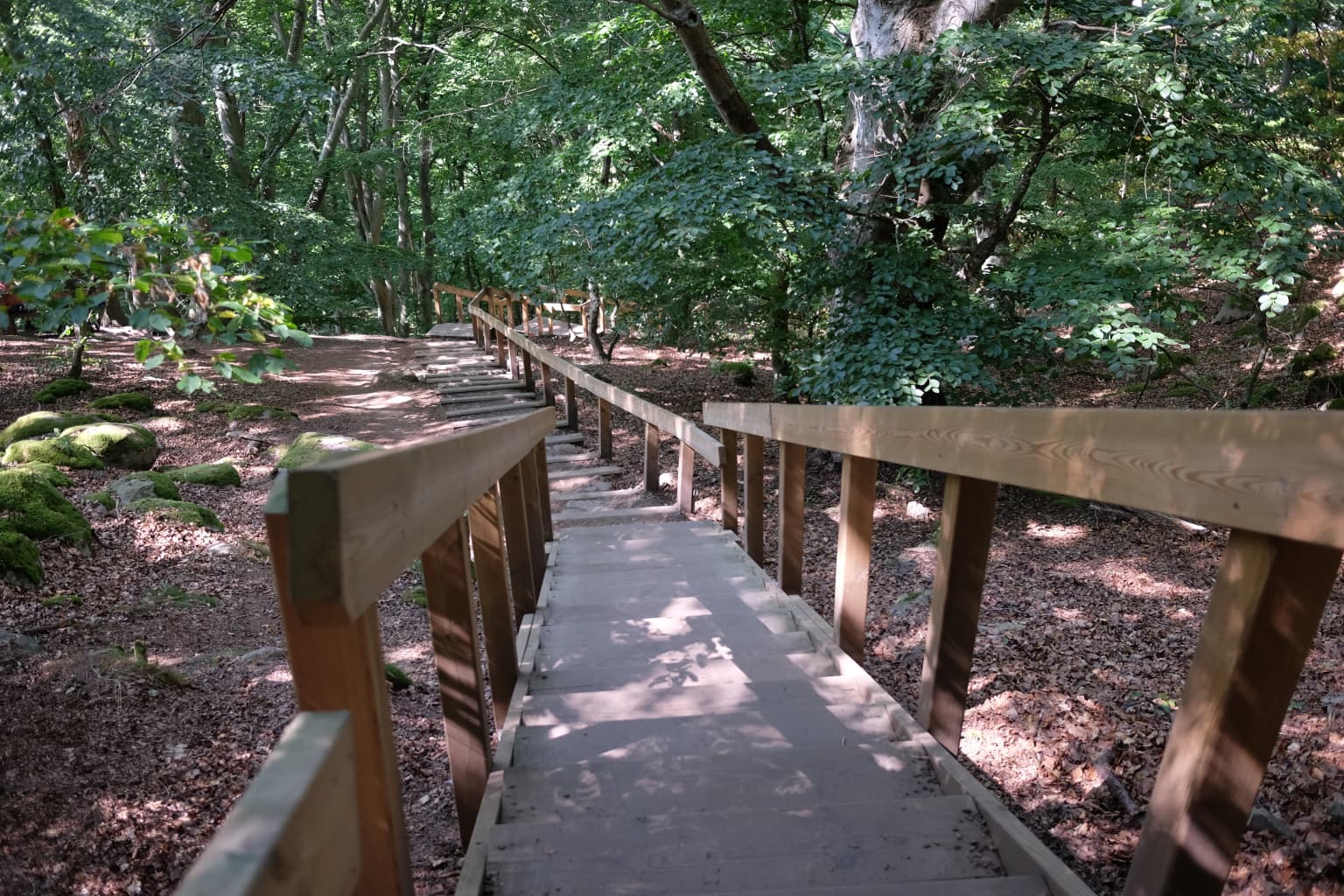 Wooden boardwalk with railings running through a forested area with moss-covered ground and dappled sunlight