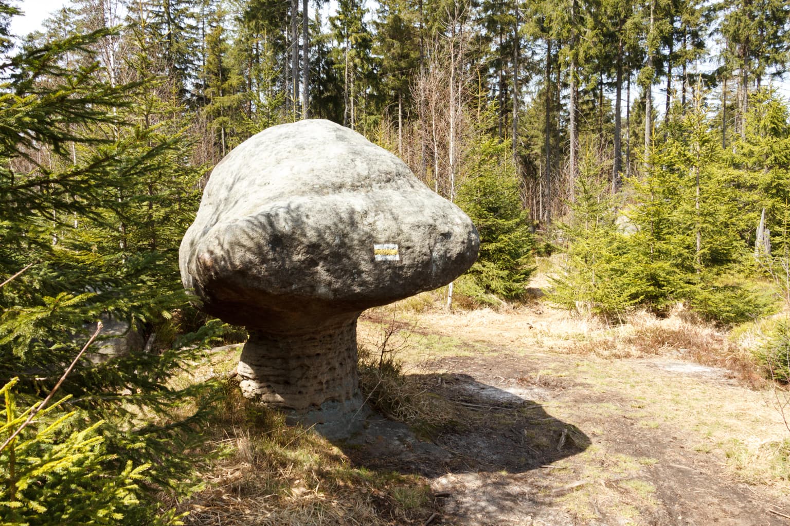 Large mushroom-shaped rock formation with a flat top and narrow base surrounded by evergreen trees in a forested area