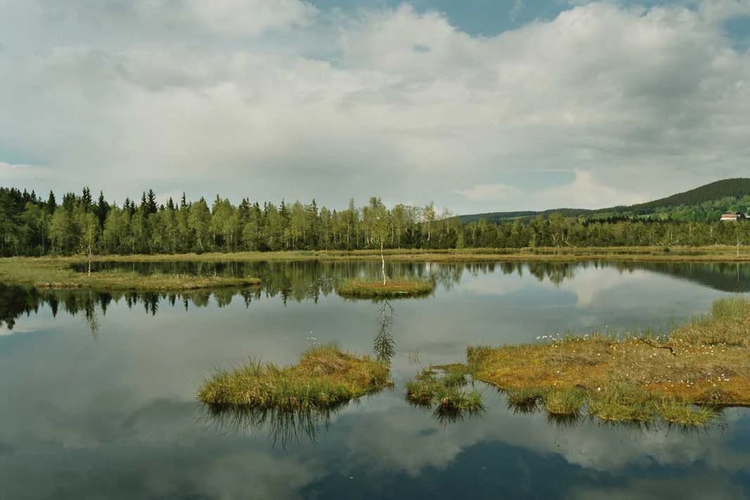 Reflective water surface with small grassy islands, forested shoreline, and mountains in the background under a cloudy sky
