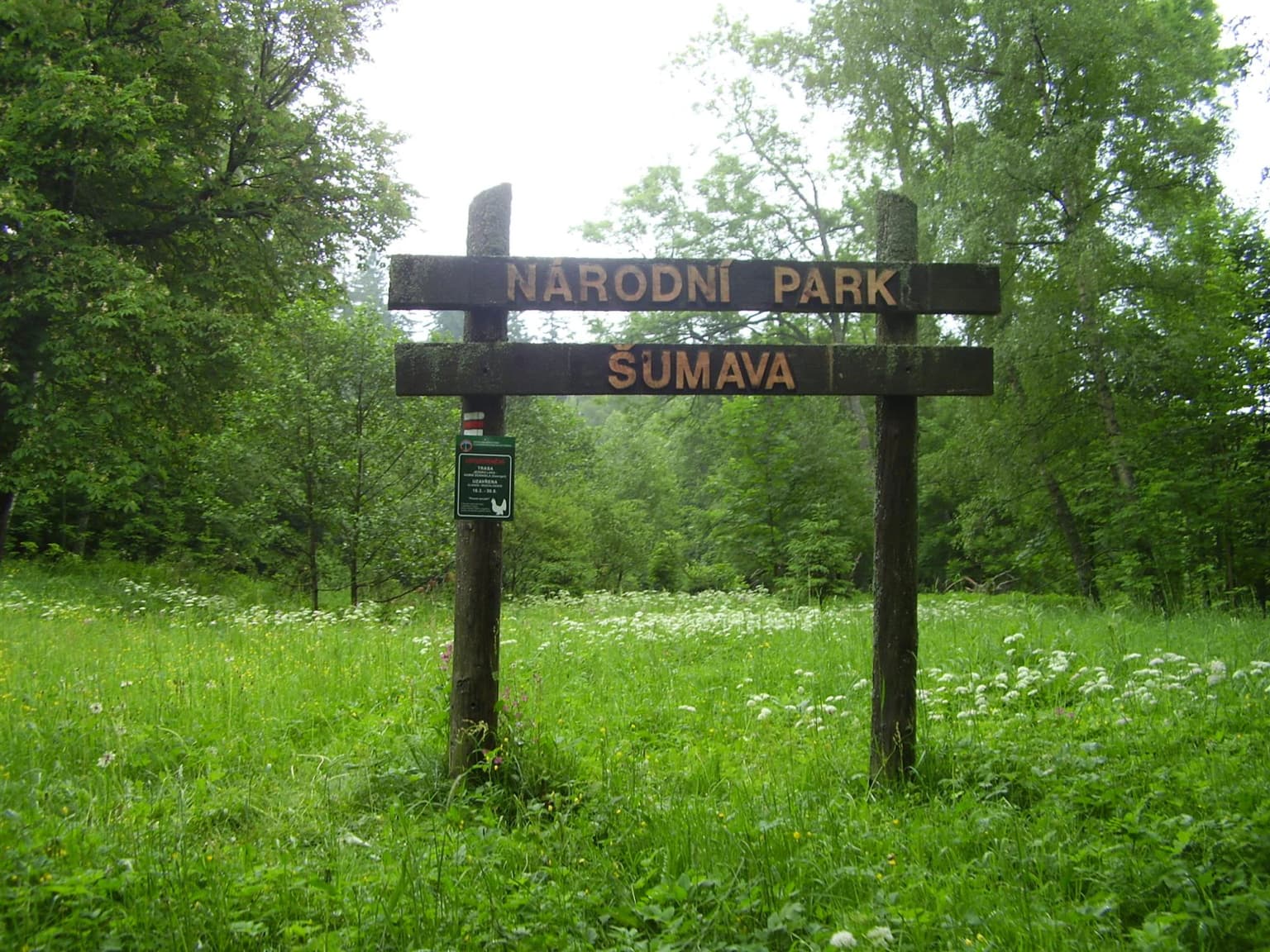 Wooden signpost reading 'NARODNI PARK SUMAVA' surrounded by green grass and wildflowers with trees in the background