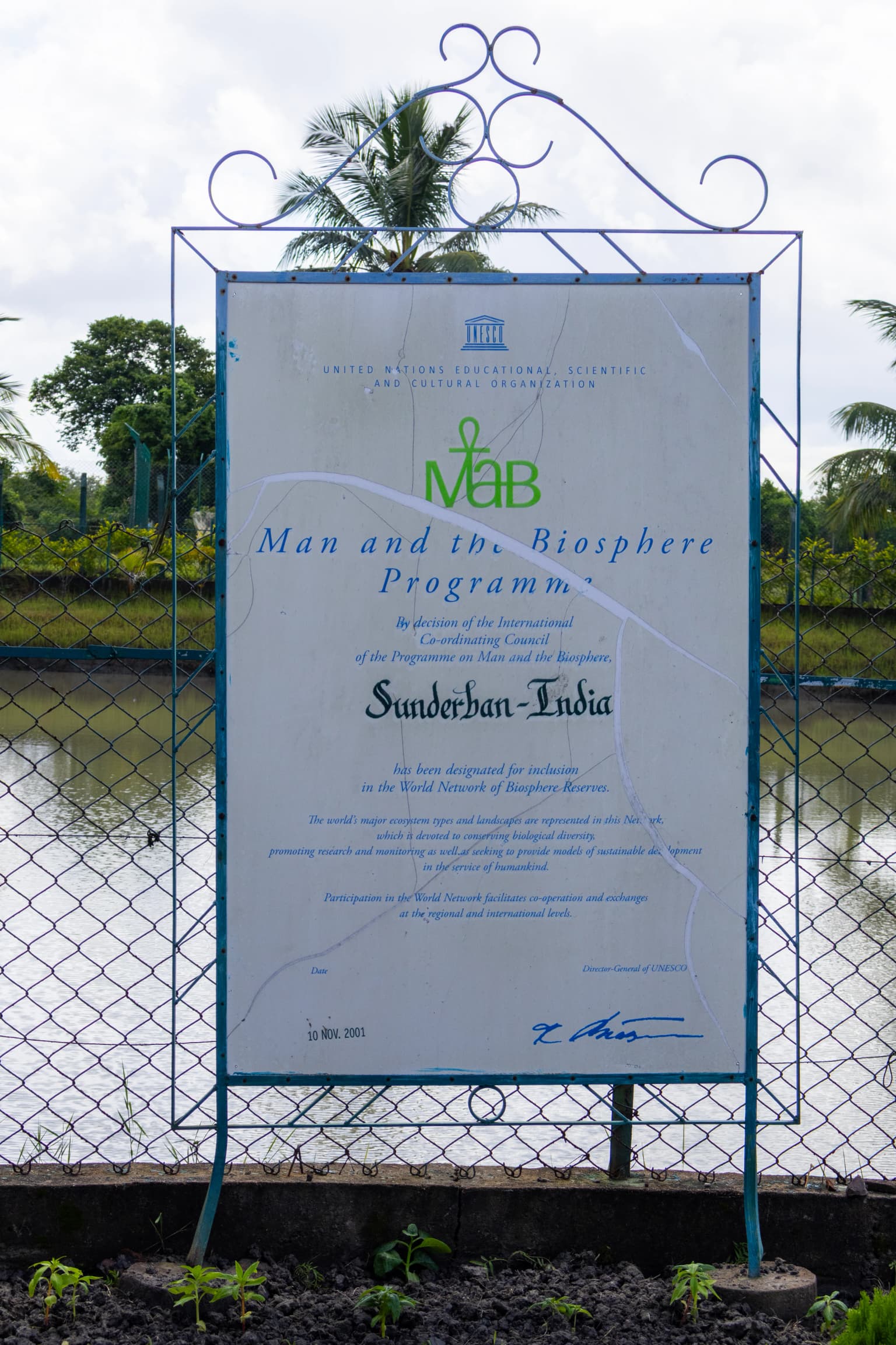 Signboard displaying 'Man and the Biosphere Programme' with 'Sunderban-India' text, mounted on metal frame near water body with mangrove vegetation and palm trees in background