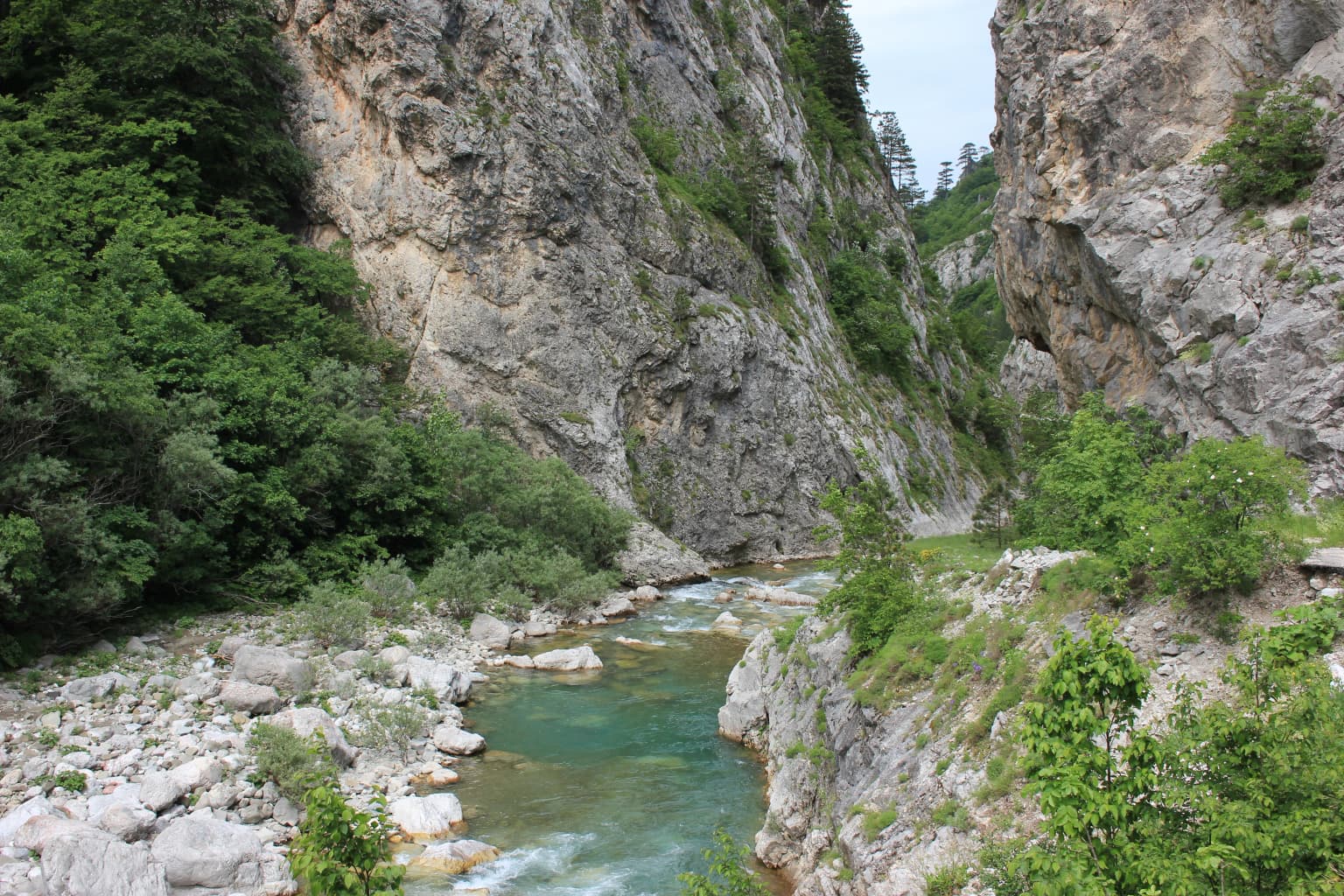A river with turquoise water flows through a narrow canyon flanked by steep rocky cliffs covered in green vegetation