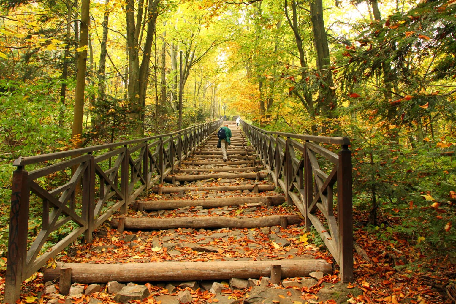 Wooden bridge trail with stone steps covered in fallen leaves surrounded by autumn trees, a person walking in the distance