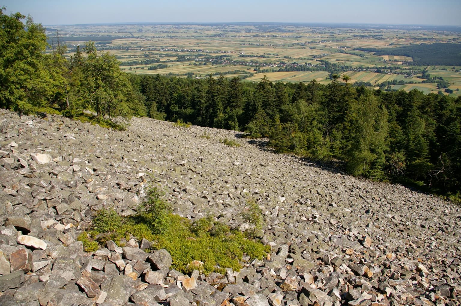 Rocky slope covered in scattered stones with patches of green vegetation, surrounded by dense forest, overlooking a vast valley with rolling hills