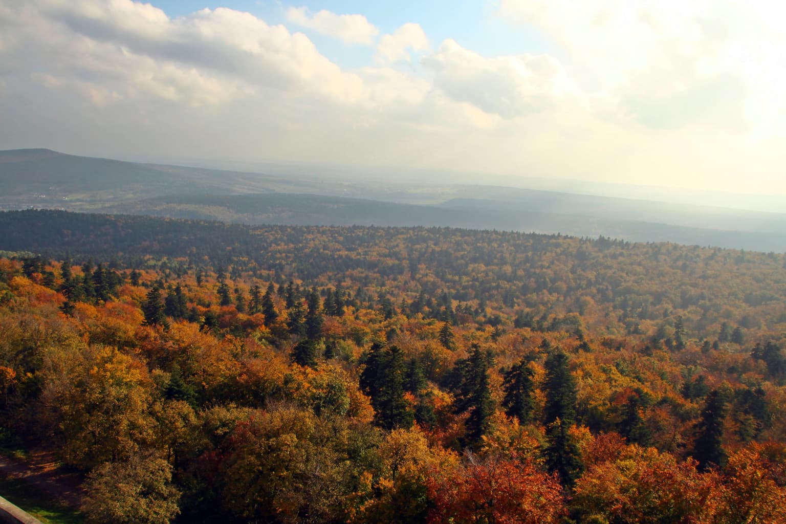A wide view of a forested landscape with autumn-colored trees under a partly cloudy sky