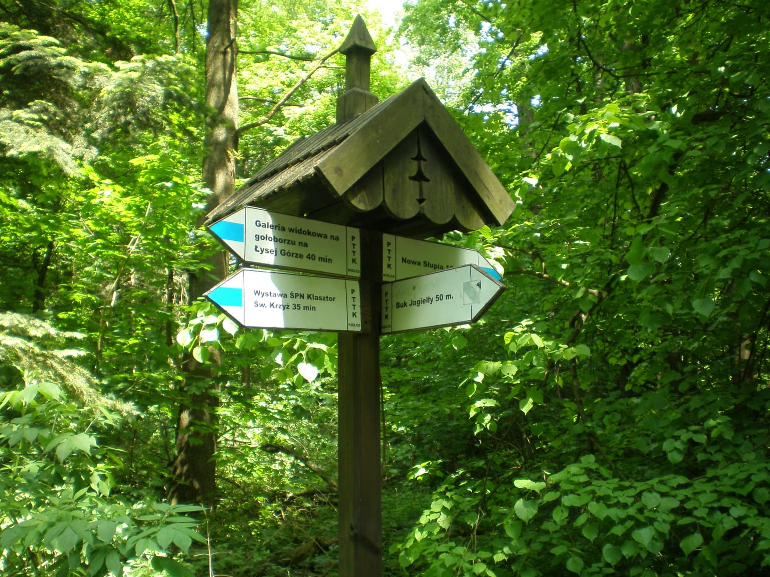 Wooden signpost with multiple directional trail signs showing names and distances in a forested area