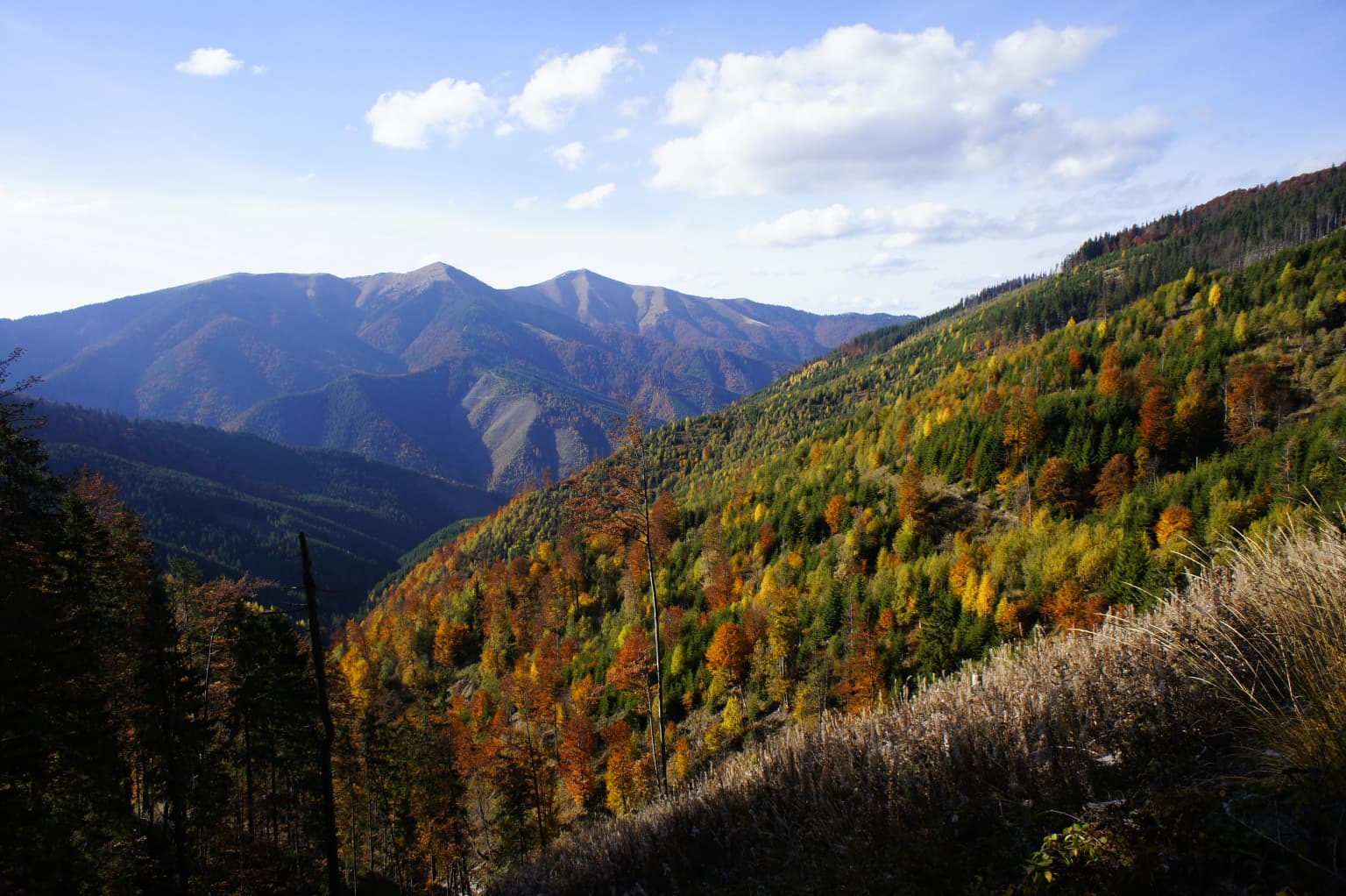 Rolling mountains with autumn-colored forests under a clear sky