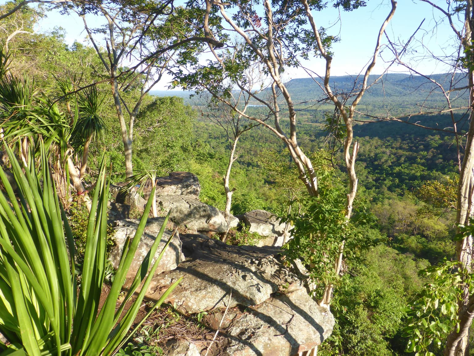 Saliente rocoso con exuberante vegetación verde y colinas distantes bajo un cielo despejado