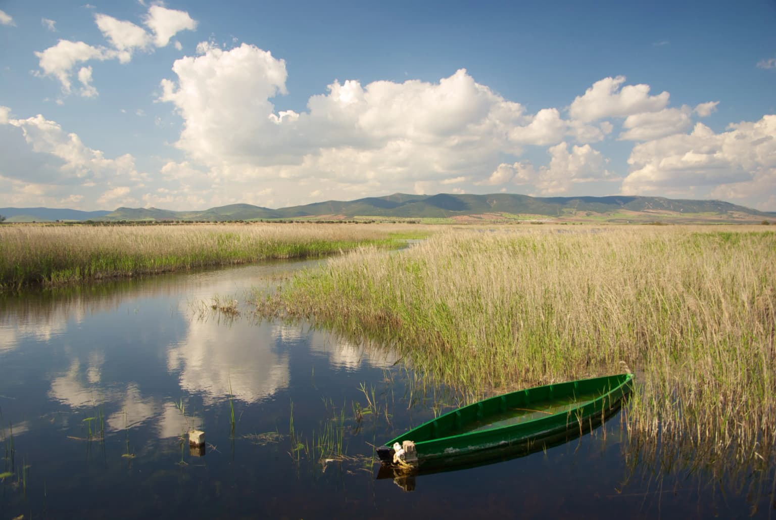 Green boat floating on calm water with tall reeds and mountains in background under partly cloudy sky