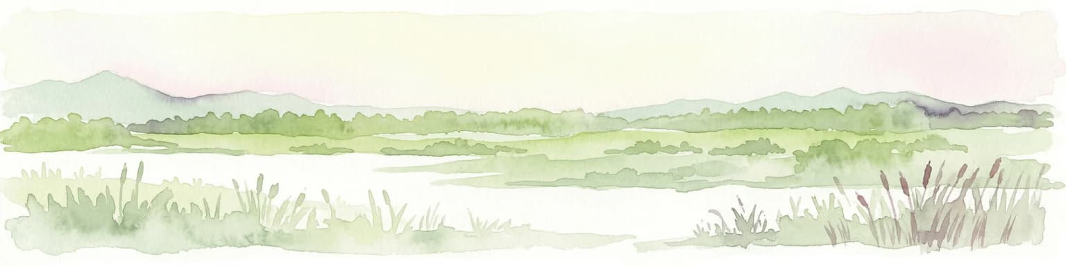 Watercolor illustration showing a wetland landscape with grasses, a body of water, and distant hills