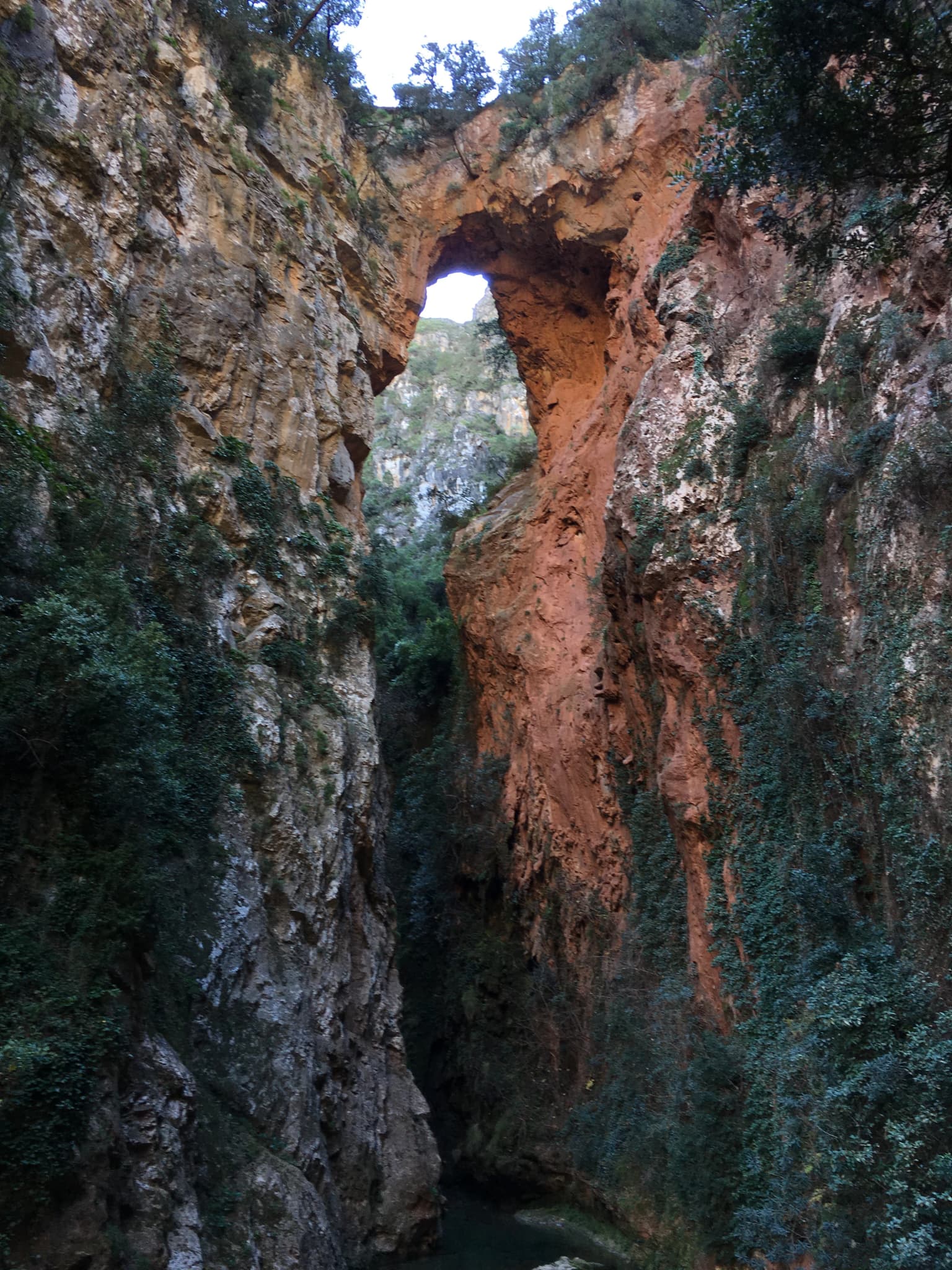 Arco natural de roca entre acantilados rocosos escarpados con vegetación y agua en la base