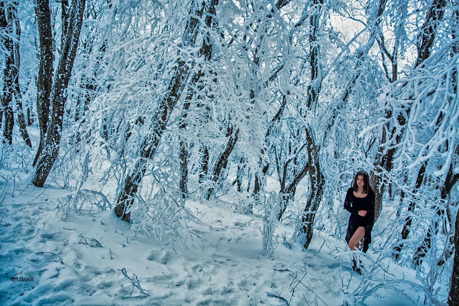 Person standing in snow-covered forest with frost-covered trees