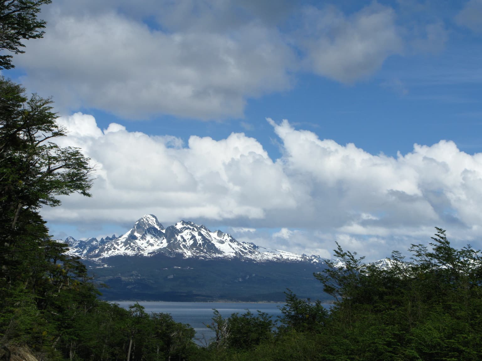 Snow-capped mountain peaks, dense forest in the foreground, and a body of water under a partly cloudy sky