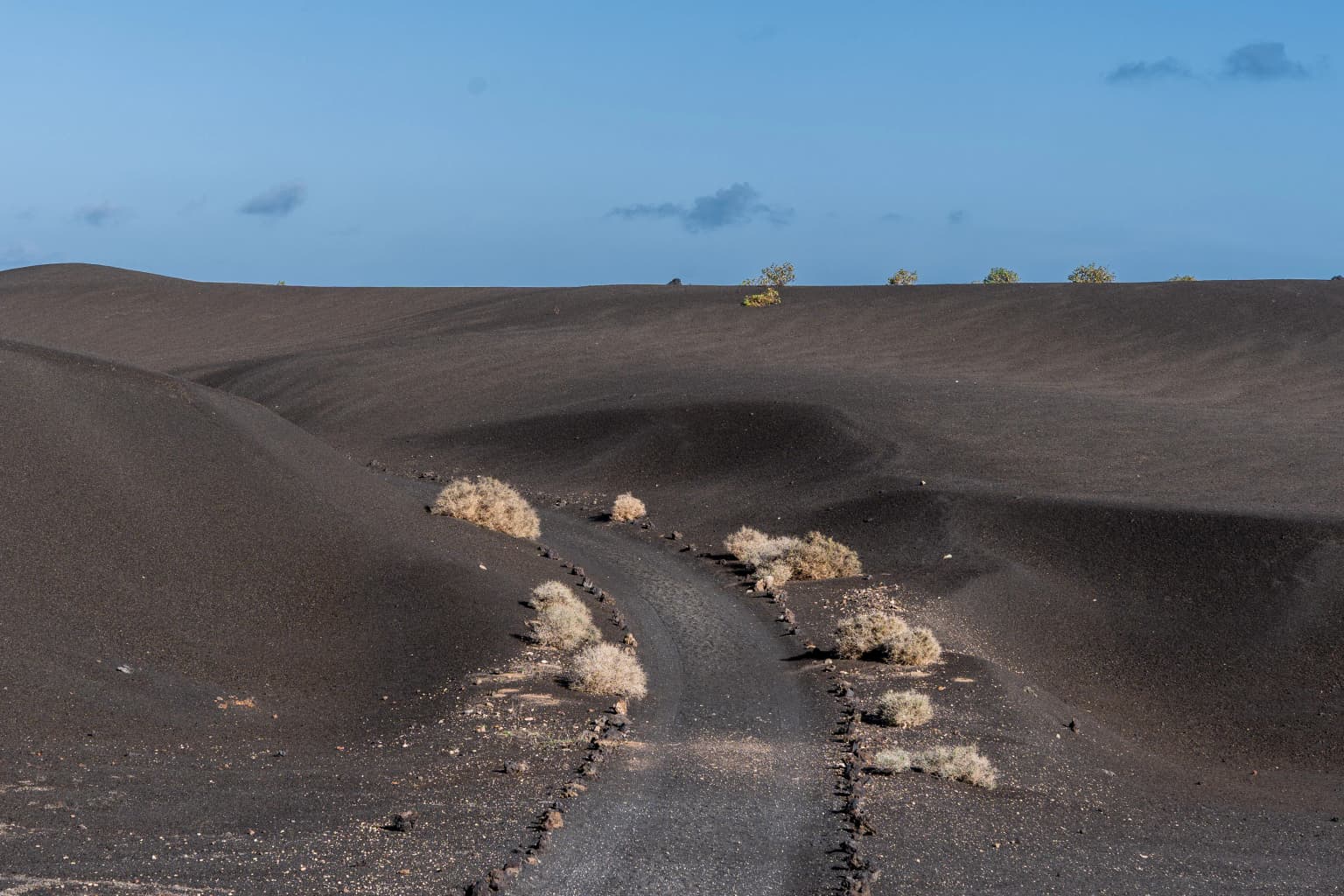 A dirt trail winding through a volcanic desert landscape with sparse vegetation under a clear blue sky