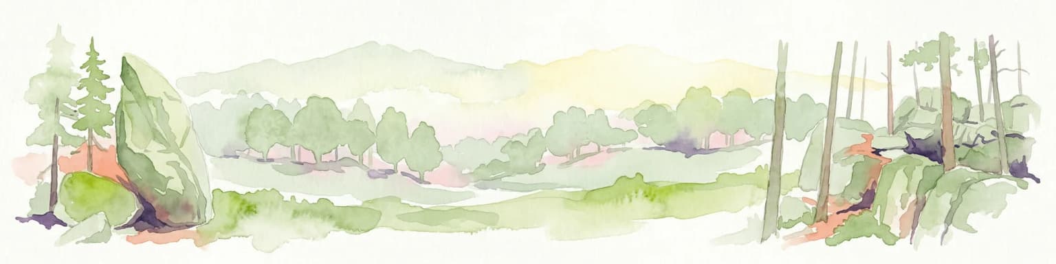 Watercolor illustration of a forest landscape with rocks, trees, and distant hills