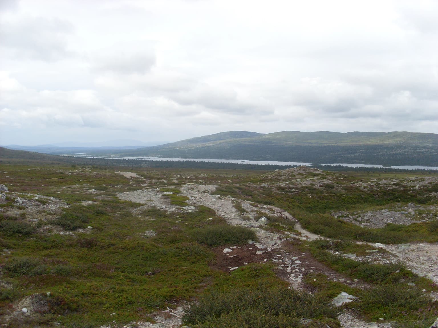 Wide landscape view of a lake with mountainous terrain in the background, grassy and rocky foreground, and overcast sky