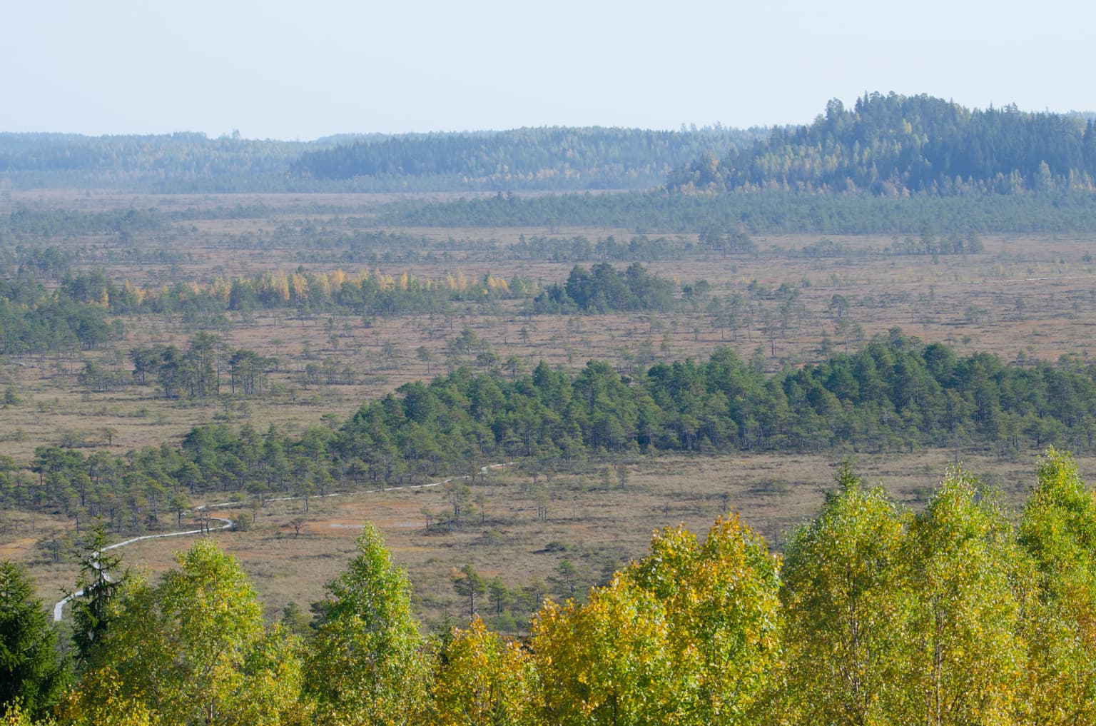 Wide landscape showing Torronsuo National Park's bog with scattered trees, open marshy plains, and forested hills in the background