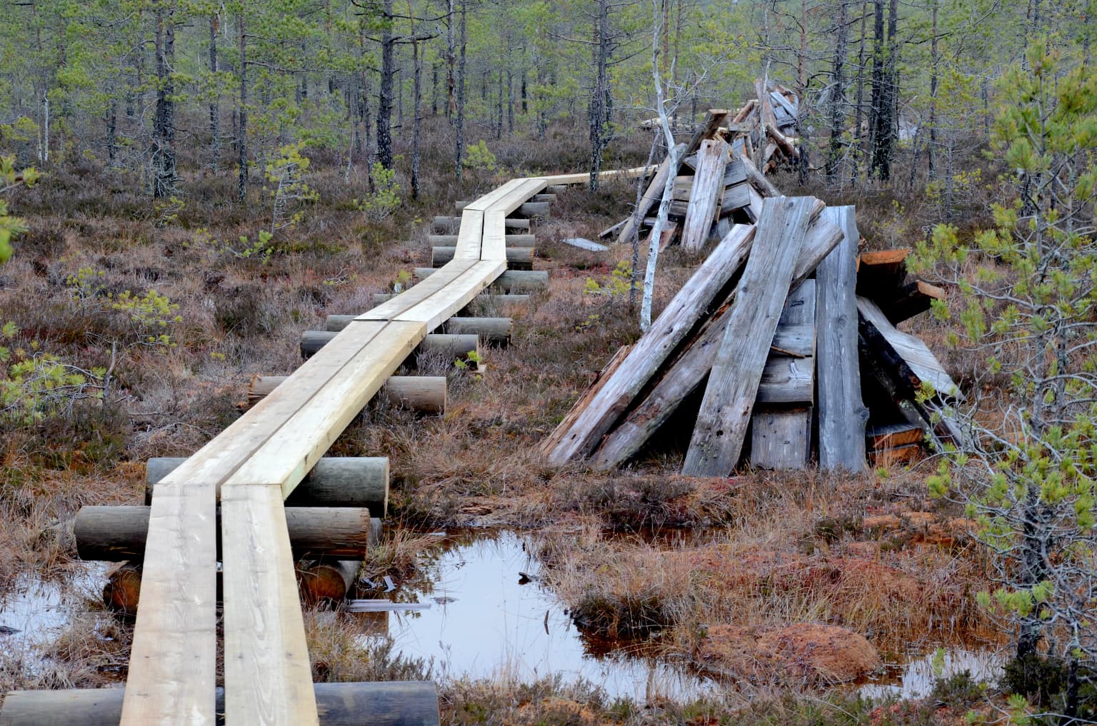 Wooden boardwalk extending through a boggy landscape with patches of water, surrounded by sparse trees and vegetation